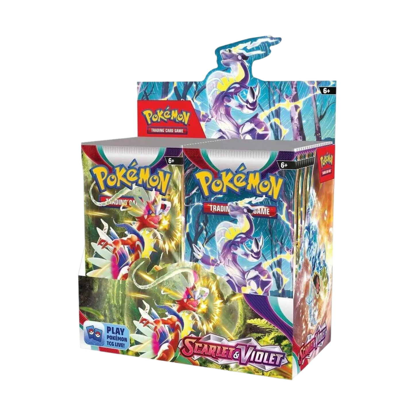 Pokémon base Scarlet & Violet Booster Box - Engels